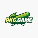 PK6-Game